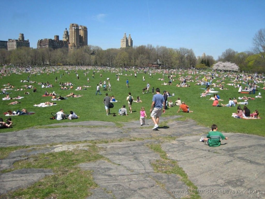 Sheep Meadow y Great Lawn