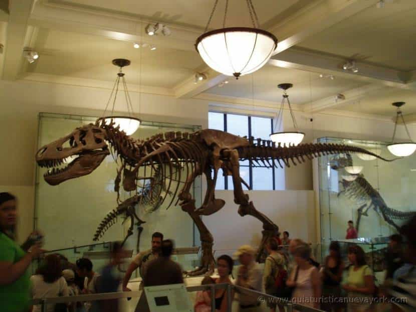 Interior del Museo de Historia Natural