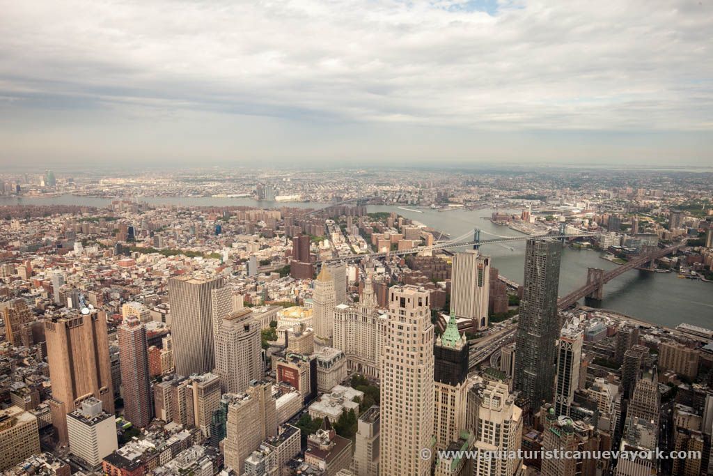 Nueva York desde el observatorio