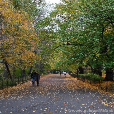 Places to see in a day in Central Park