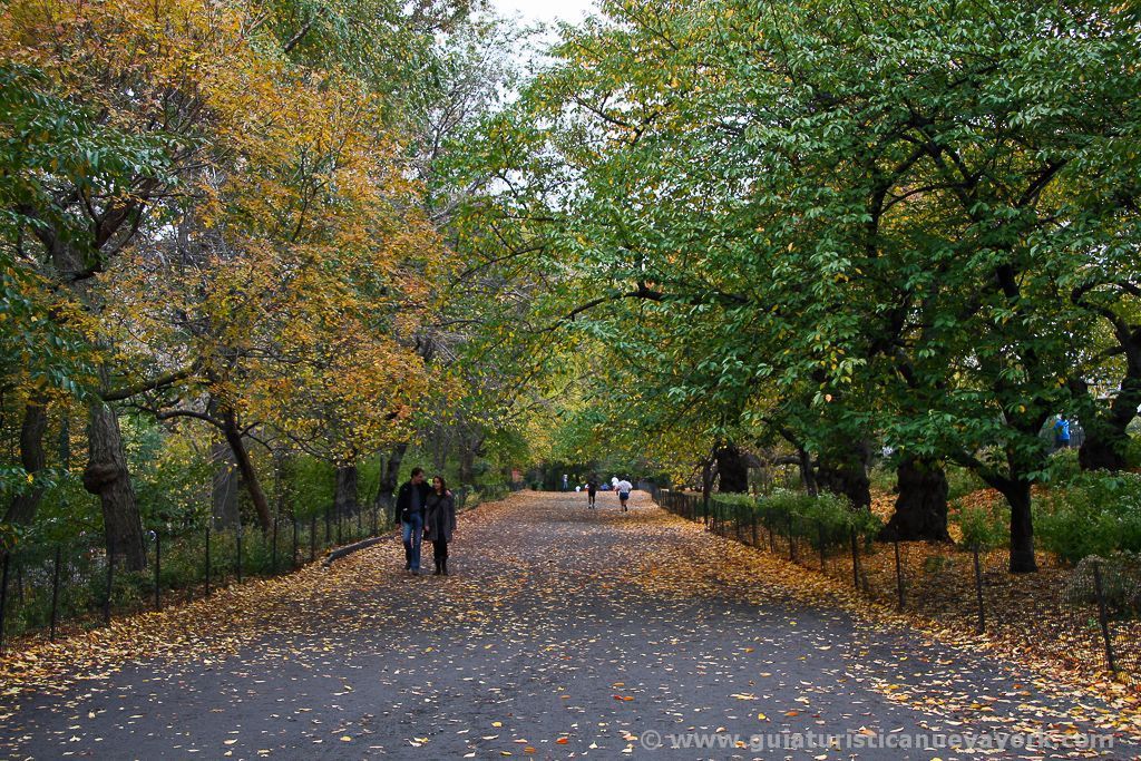 Qué ver en un día en Central Park
