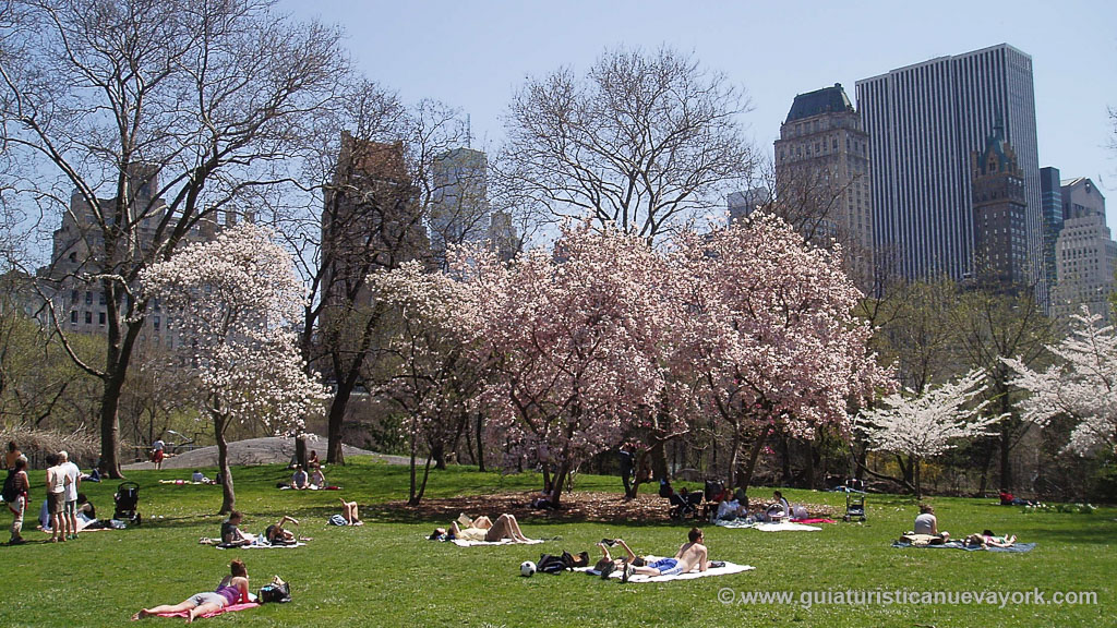 Qué hacer en abril en Nueva York