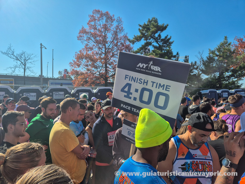 Las liebres para ir a por una marca, en los corrales